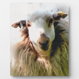 PLAQUE PHOTO MOUTON MIGNON