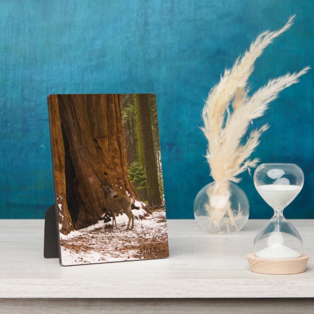 Plaque Photo Mule Deer (Côté)