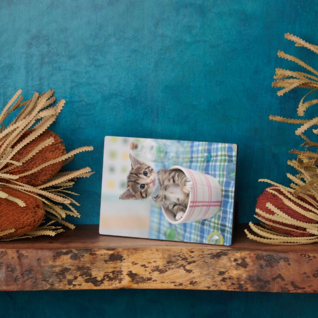 Plaque Photo Munchkin Kitten Avec Joli Ruban (Côté)