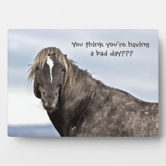 Plaque Photo Mustang sauvage