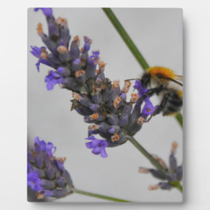 Plaque Photo Natures de merveilleux travailleurs