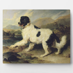 Plaque Photo Newfoundland Dog Called Lion, 1824 (oil on canvas)