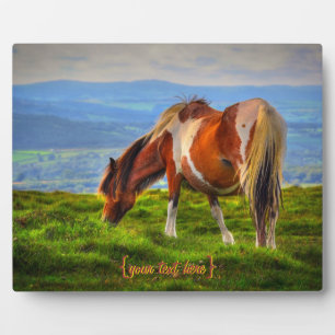 Plaque Photo Nouveau sang sur Dartmoor