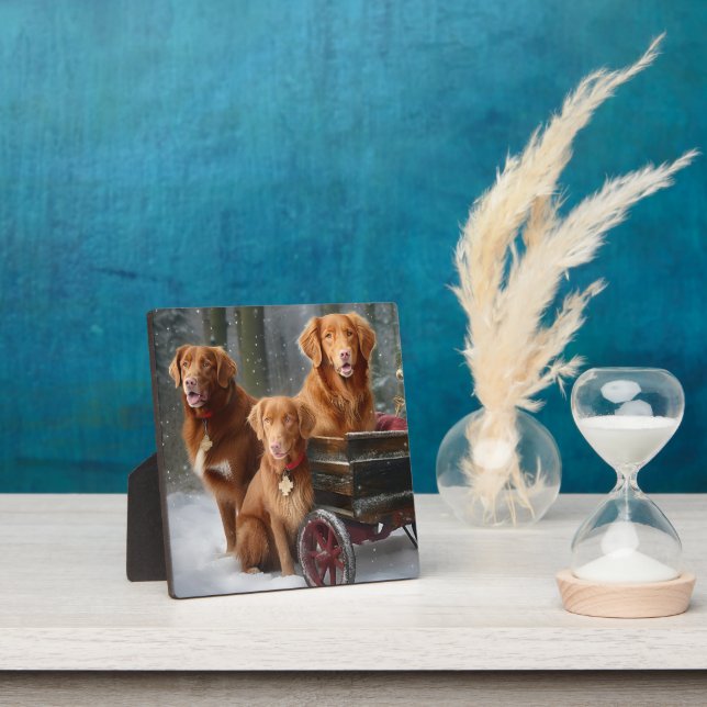 Plaque Photo Nouvelle-Écosse Duck Toller Retriever Snowden (Insitu)