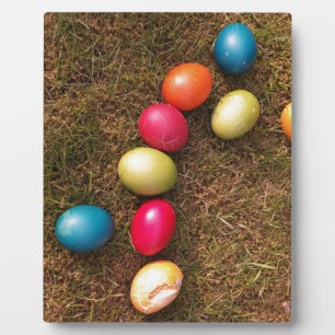 Plaque Photo Oeufs peints colorés dans le jardin, Oeufs de Pâqu