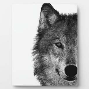 Plaque Photo OEuvre d'oeil de loup noir et blanc