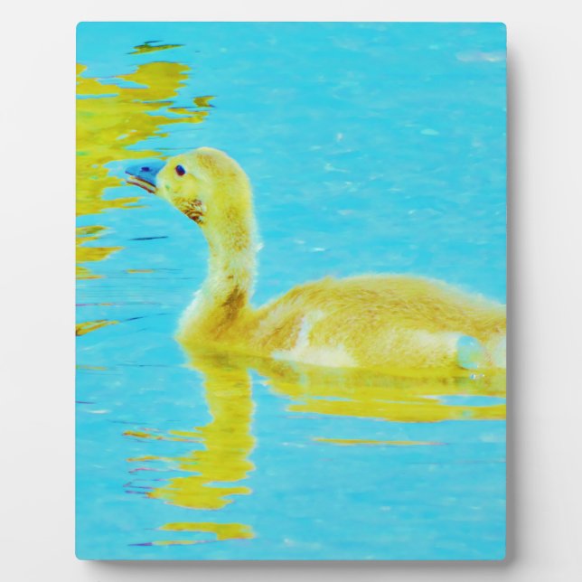 Plaque Photo Oie-bébé jaune avec eau bleu clair (Devant)