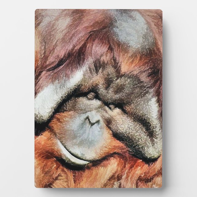 PLAQUE PHOTO ORANGUTAN (Devant)