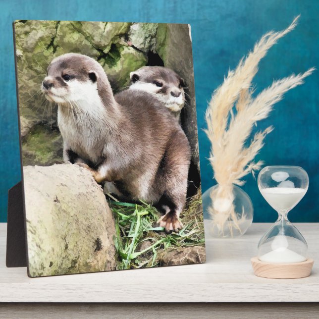 PLAQUE PHOTO OTTERS (Côté)