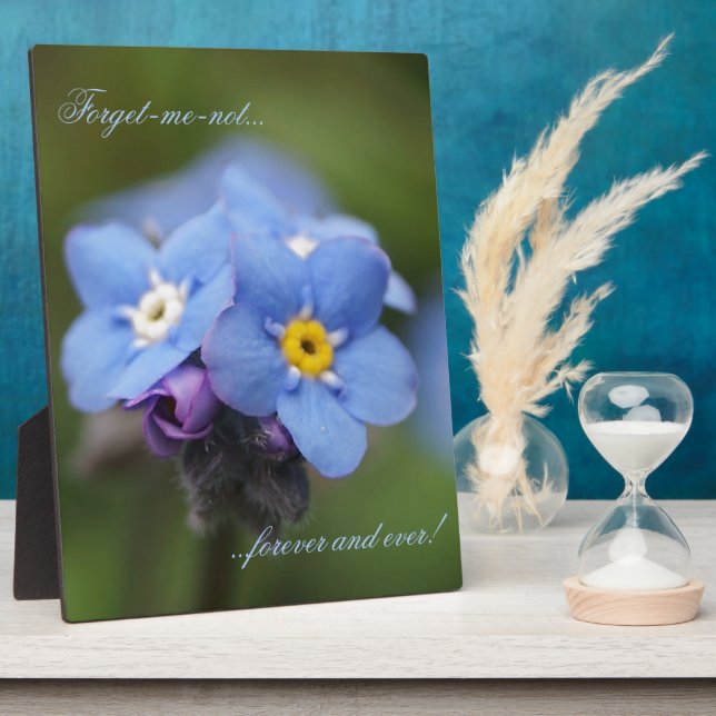 Plaque Photo Oublie-moi-pas pour toujours et jamais ! (Côté)