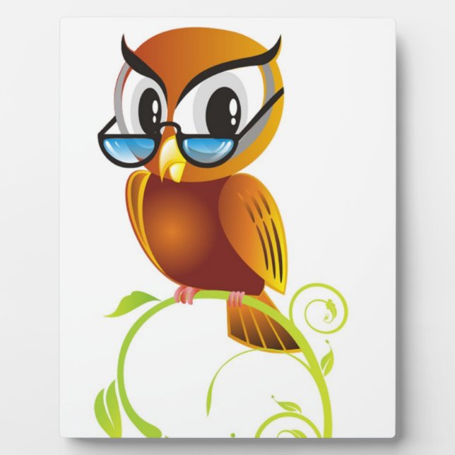 PLAQUE PHOTO OWL STERN (Devant)