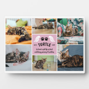 Plaque Photo Pale Rose Wings Chat Paws Memorial Photo Collage
