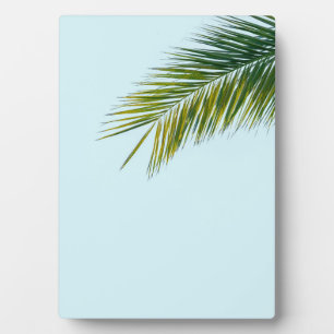 Plaque Photo Palmier Vert Tropical sur Fond Bleu Clair