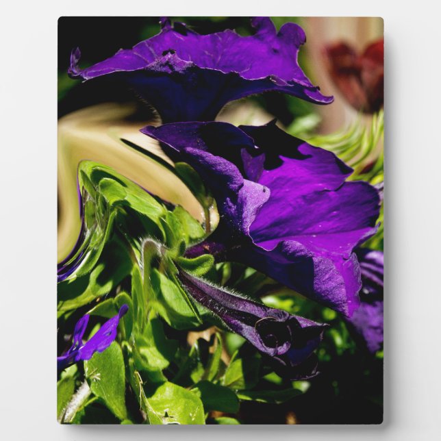 Plaque Photo Panique violette (Devant)