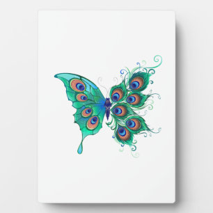 Plaque Photo Papillon aux plumes de paon vert
