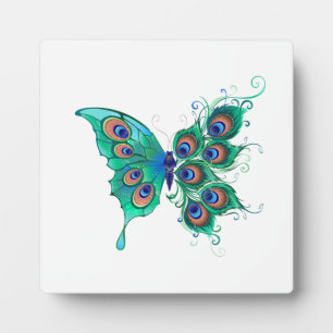 Plaque Photo Papillon aux plumes de paon vert