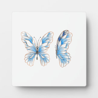 Plaque Photo Papillon bleu