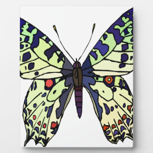 Plaque Photo papillon coloré