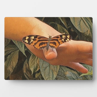 Plaque Photo Papillon convivial