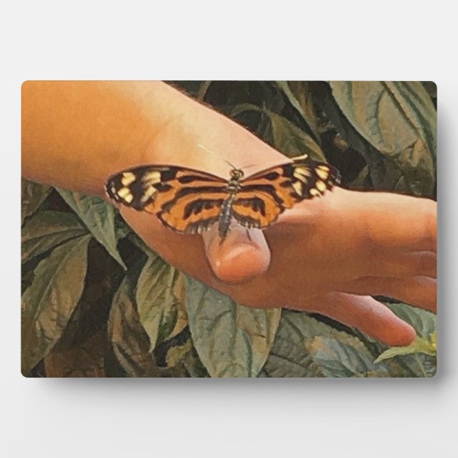 Plaque Photo Papillon convivial (Devant)