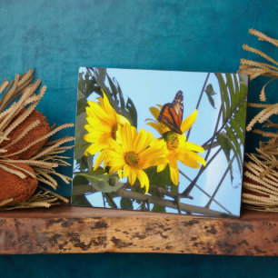 Plaque Photo Papillon et tournesol