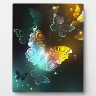 Plaque Photo Papillon lumineux et papillons de nuit