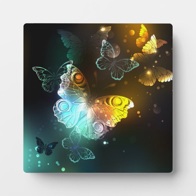 Plaque Photo Papillon lumineux et papillons de nuit (Devant)