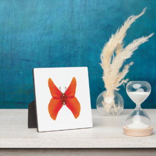 Plaque Photo Papillon rouge orange avec votre nom