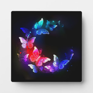 Plaque Photo Papillons de nuit Neon brillants sur arrière - pla