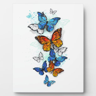 Plaque Photo Papillons volants Morpho et Monarch
