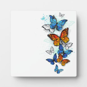 Plaque Photo Papillons volants Morpho et Monarch