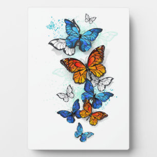 Plaque Photo Papillons volants Morpho et Monarch