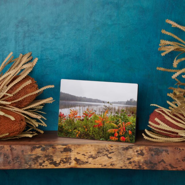 Plaque Photo Parc d'état d'Itasca | Minnesota (Côté)