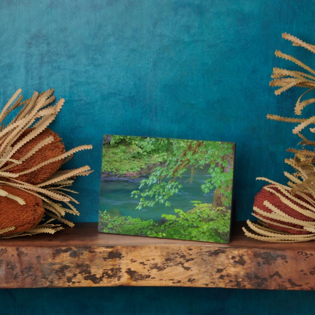 Plaque Photo Parc national olympique Washington State (Côté)