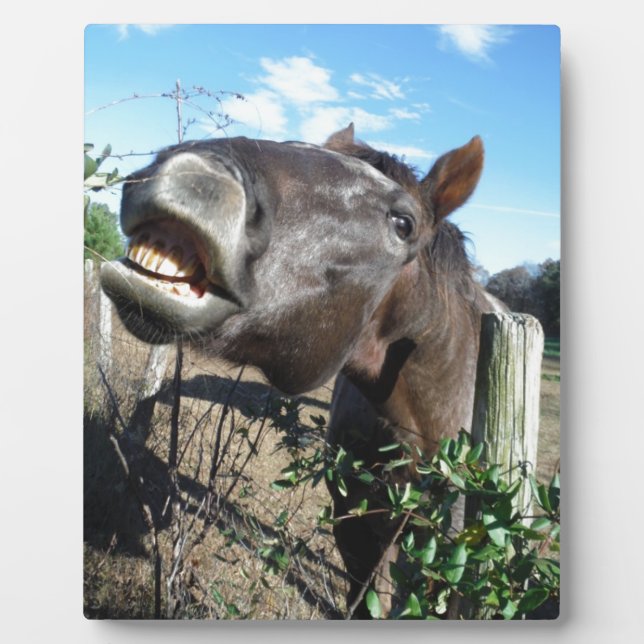 Plaque Photo Parler de cheval Brown (Devant)