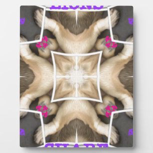 Plaque Photo Part du lion