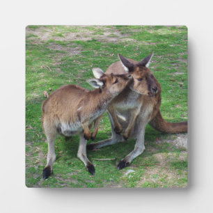 Plaque Photo Pas maintenant Skippy