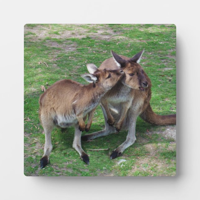 Plaque Photo Pas maintenant Skippy (Devant)