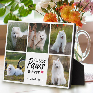Plaque Photo Pâtes Cutest Ever Moderne Cute Chien de compagnie 