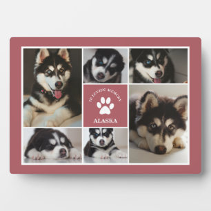 Plaque Photo Paw Pet Pet Pet In Love Memory Dusty Pink Photo Co
