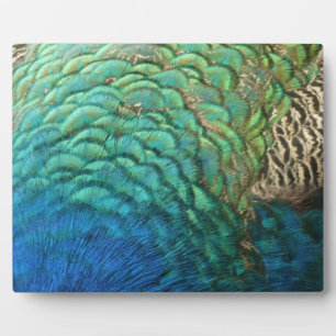 Plaque Photo Peacock Plumes I Colorful Abstrait Nature Design