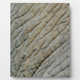 Plaque Photo Peau d'Éléphant Personnalisée Avec Votre Nom