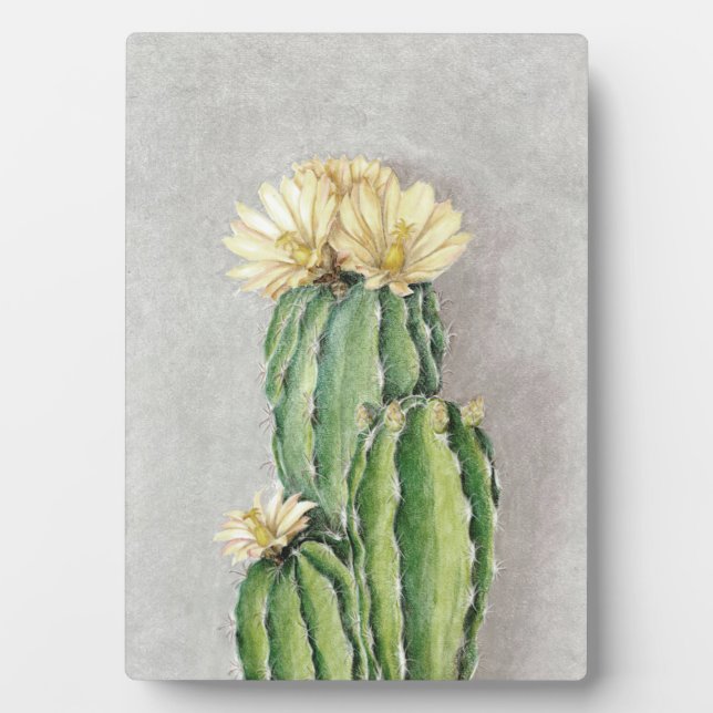 Plaque Photo Peinture à fleur de cactus (Devant)