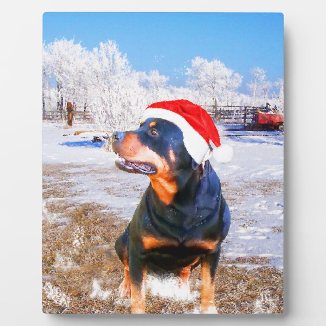 Plaque Photo Peinture de Noël de chien Rottweiler (Devant)