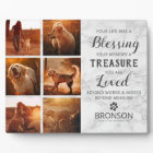 Perte d'animal de compagnie - Collage photo en sou