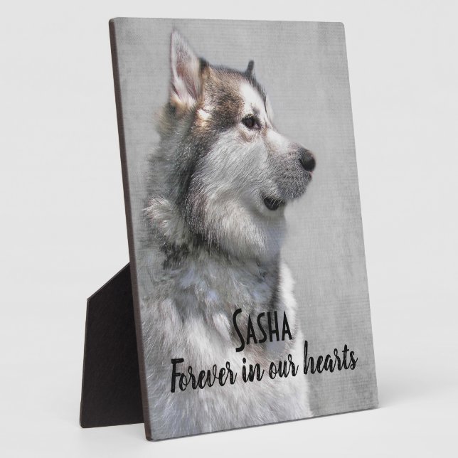 Plaque Photo Perte d'un Malamute d'Alaska (Côté)