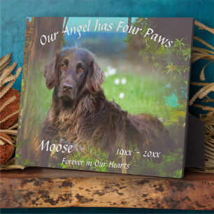 Plaque Photo Pet Memorial Four Paws 1017