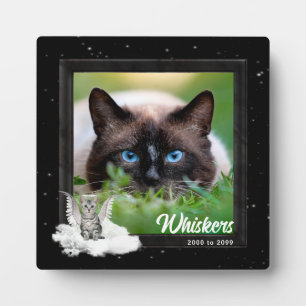 Plaque Photo Pet Memorial Tabby Chat Silver Stripes Photo