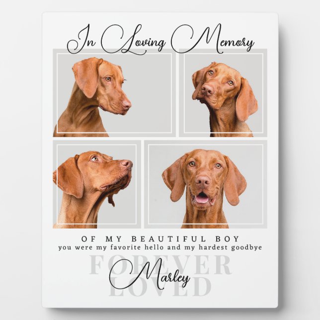 Plaque Photo Pet Perte Cadeau Chien Chat Memorial Photo Collage (Devant)