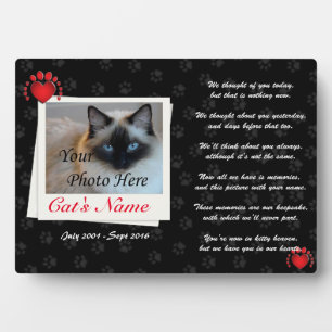 Plaque Photo Photo de chat pour animaux de compagnie personnali
